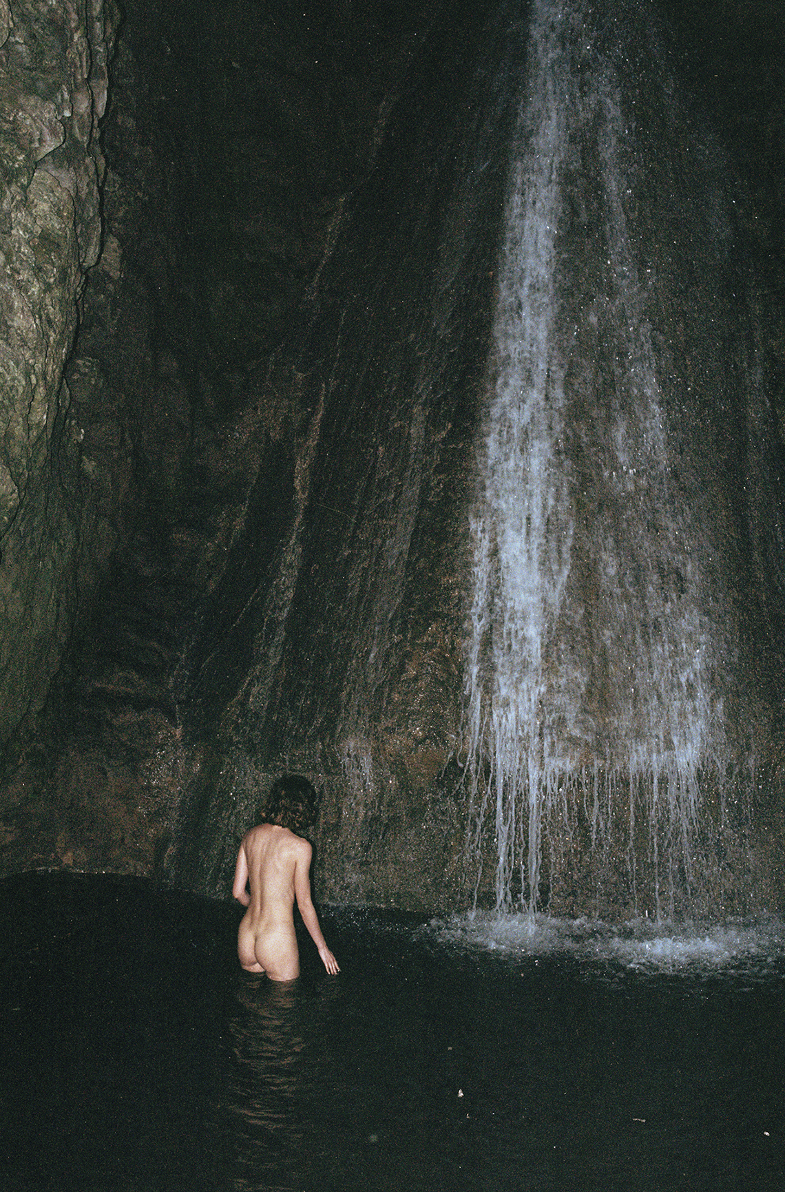 Sensation Oracle Fox