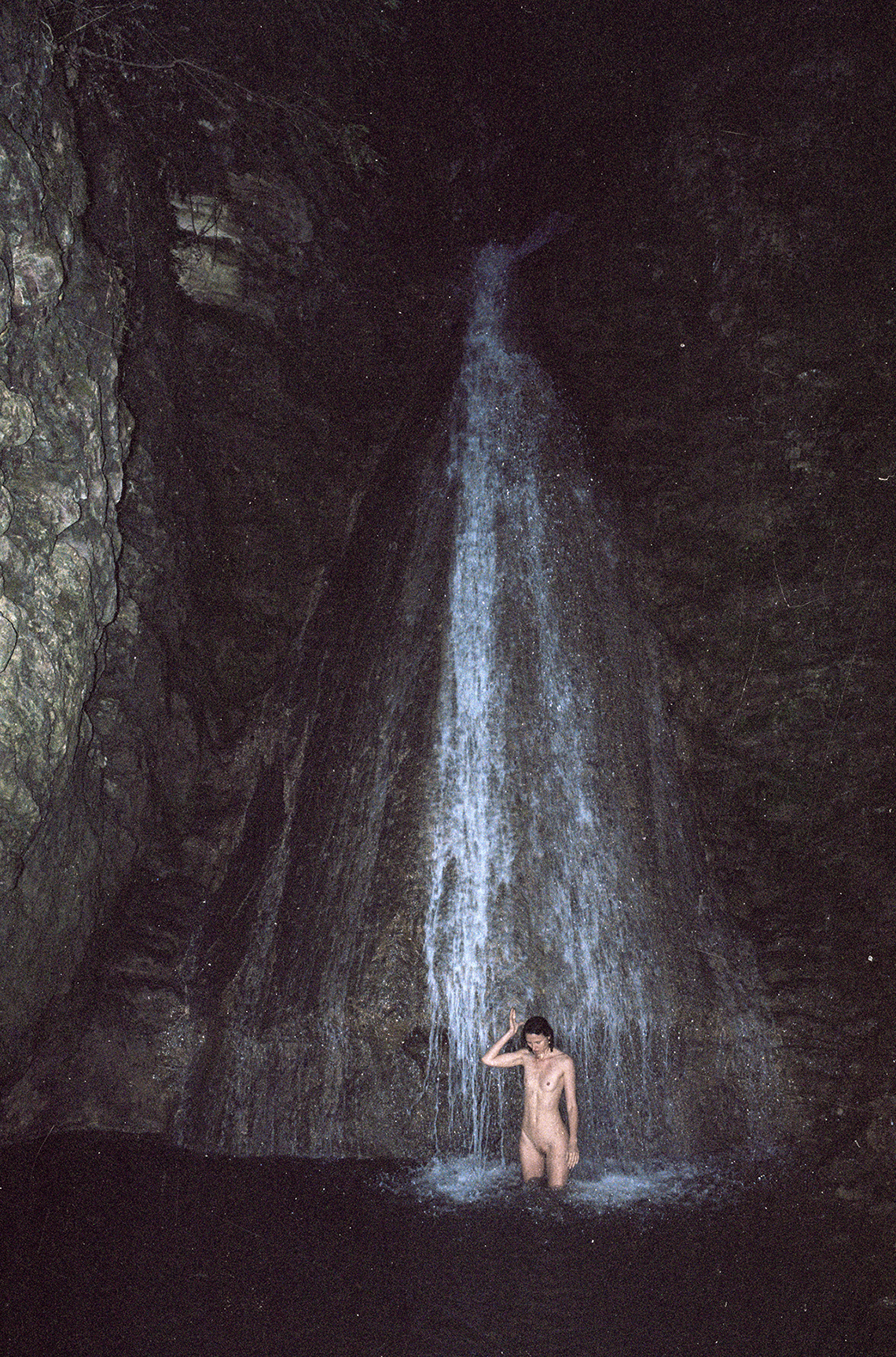 Sensation Oracle Fox