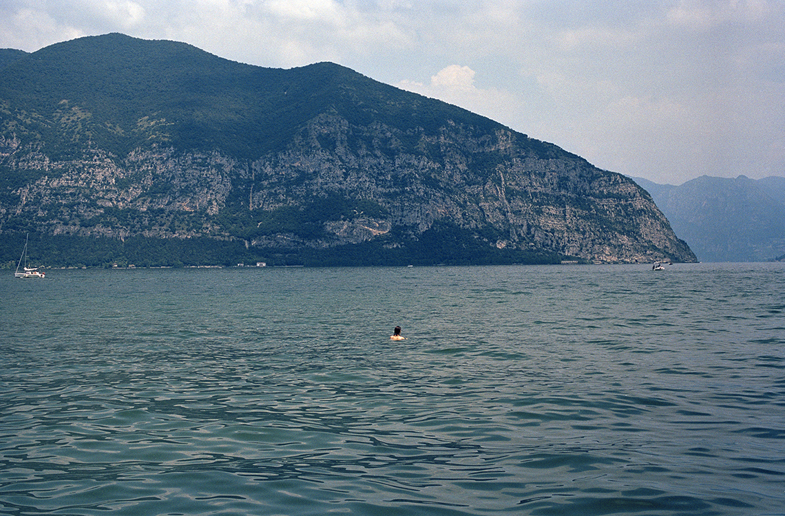 Sensation Oracle Fox